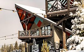 Лісові Форелі